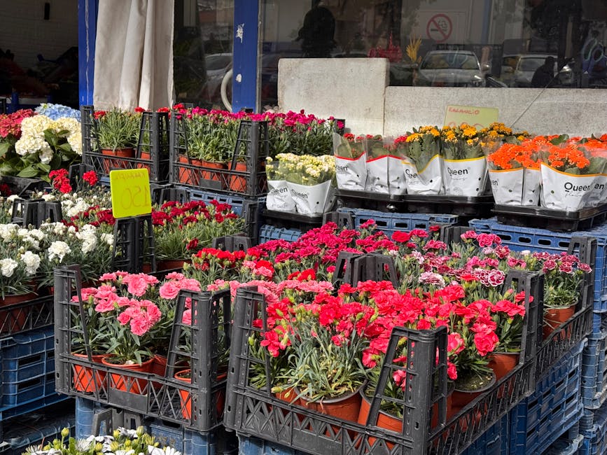 An outdoor display of various flowering plants arranged in black plastic crates and terracotta pots, featuring pink, red, white, yellow, and orange blooms. The flowers include carnations and other sea
