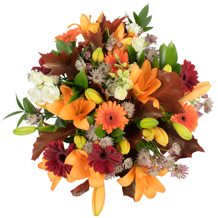 From a slightly elevated, close-in perspective this autumnal bouquet reads like a warm story of seasonal colour, handcrafted with care and attention to detail. Large orange Asiatic lilies command the center with their unfurling, trumpet-shaped petals, surrounded by vivid orange and burgundy Gerbera daisies whose layered, ray-like petals form lively, sun-warm faces. Interspersed among them are numerous compact lily buds-fresh, green-tinged ovals and soft apricot tips-that suggest the arrangement will continue to evolve. Creamy white lisianthus, with their delicately ruffled petals, slip through the composition as soft, calming notes, while clusters of muted purple Astrantia contribute a filigree of tiny star-flowers that add delicate texture and botanical intrigue.
Richly coloured, lobed leaves in deep reddish-brown and chestnut are artfully arranged to echo fallen autumn foliage, giving the bouquet a seasonal silhouette reminiscent of walks by the River Wandle or beneath the trees of Merton Park. Vibrant green foliage and slender stems provide contrast and structure, keeping the design lush and balanced. The bright lighting against the pure white background makes each color sing and reveals the meticulous placing of blooms to create a full, rounded shape. Freshness is evident in every glossy leaf and taut bud; this is the kind of bouquet Flower Delivery Merton would send to mark a harvest celebration, a cosy homecoming, or to uplift a dining table for a family gathering in South Wimbledon. The overall effect is warm, abundant and quietly joyful-an autumn embrace captured in flowers.