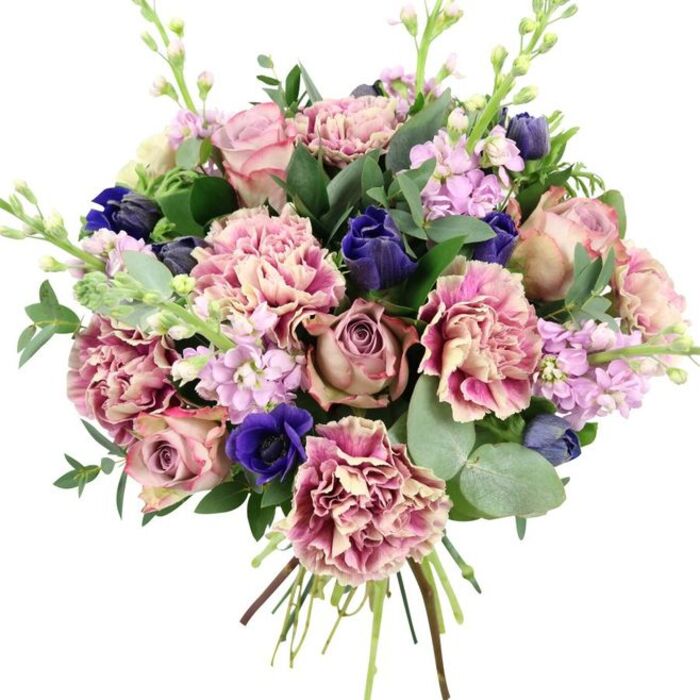A richly textured, hand-tied bouquet is shown upright against a plain white background, allowing its intricate blend of colours and forms to become the sole focus. Dominating the centre are large garden roses in soft blush, muted dusty mauve, and antique rose shades, their petals unfolding in tight spirals that instantly convey romance and craftsmanship. Intertwined with them are abundant ruffled carnations, each bloom shifting from a creamy, almost beige-pink core into blush and then into deeper rose and fuchsia along the frilled edges, creating a sense of depth and fullness. Tucked between these pastel tones are striking deep indigo-blue blossoms, shaped like elegant, closed tulip or anemone buds, bringing a rich, jewel-like contrast. Near the lower front, an open royal blue anemone with a nearly black centre stands out crisply, like a focal point in a painting. Delicate spires of lilac and pale lavender stock rise through the design, their multiple small flowers lending a soft, vertical rhythm and hinting at a gentle, slightly spicy fragrance. Surrounding all the blooms is a generous collar of greenery: rounded, silvery eucalyptus leaves and darker, glossy foliage that frame the arrangement and exaggerate its freshness. The stems at the base are neatly gathered and bound, showing the bouquet's hand-crafted, ready-to-deliver nature, as if prepared in a Merton flower shop close to South Wimbledon or Raynes Park. The overall effect is elegant and considered, with pinks, purples, and blues balanced by cool greens, making this arrangement ideal for anniversaries, milestone birthdays, refined celebrations, or sending a tender, dignified message of support.